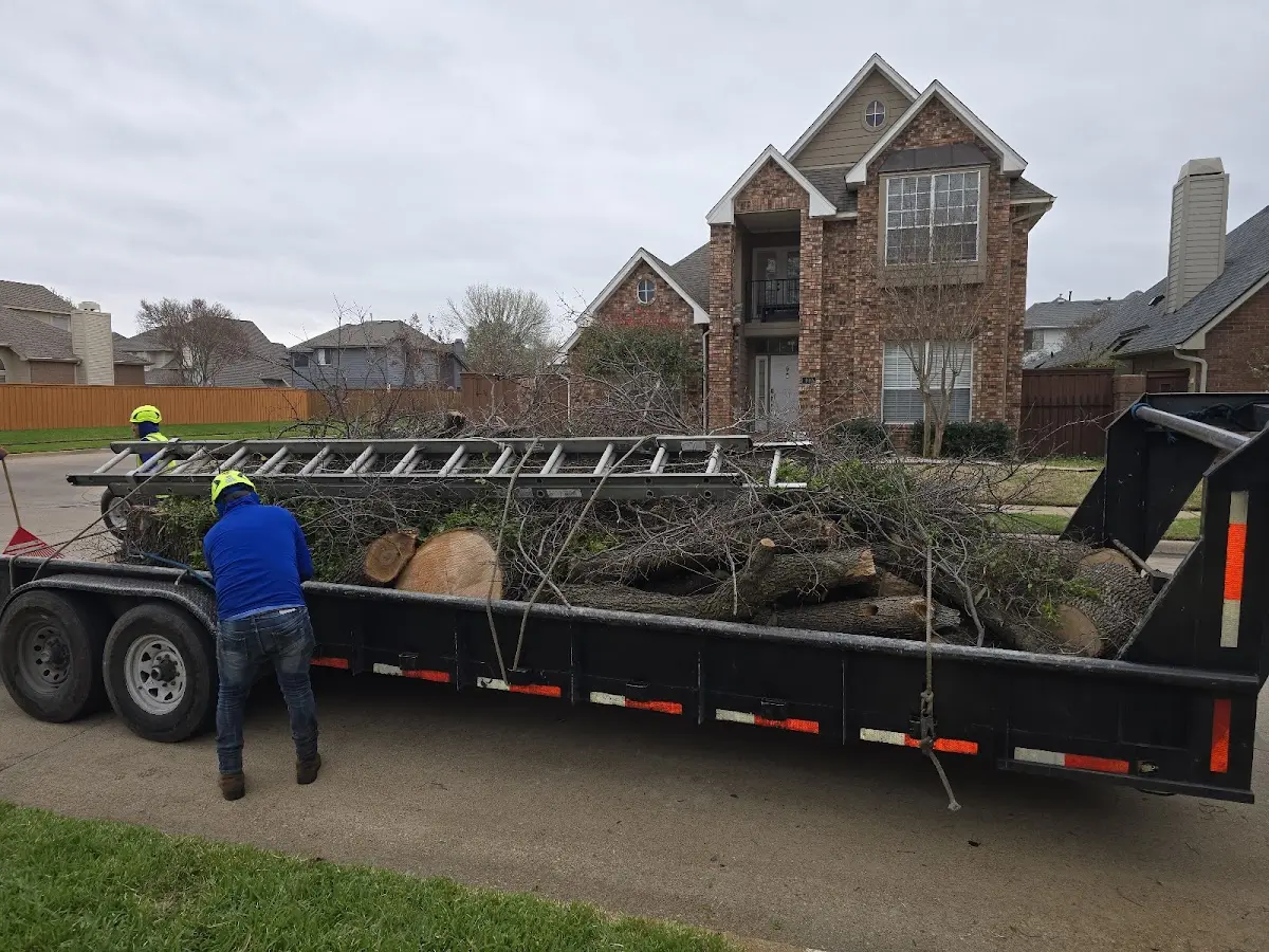 Expert Tree Fertilization with proper safety equipment in Spearman